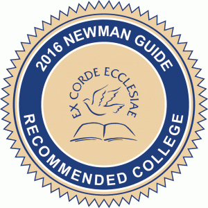 Newman guide seal